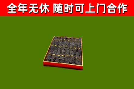 思明区回收海参